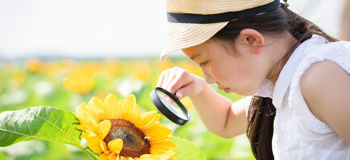 初心者・子どもでもできる自由研究サイトの作り方